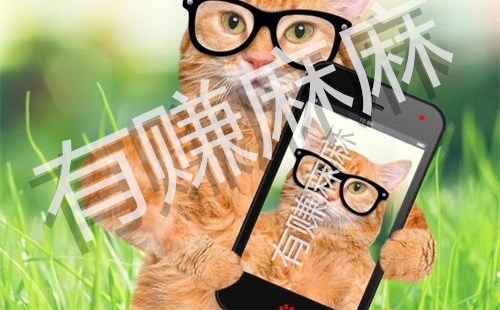 用手机赚钱怎么来?这款APP下载就可赚钱