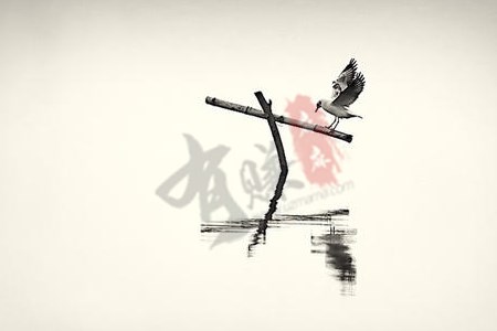 毁灭与平衡.jpg 毁灭与平衡.jpg