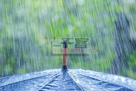 雨