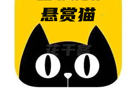 悬赏猫赚钱靠谱吗(发哥告诉你悬赏猫一天能赚多少钱?)