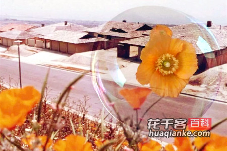 别着急，我们等你