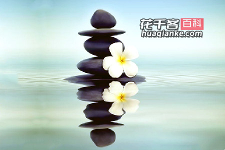 坦诚本心