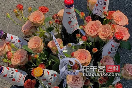 吟风弄月